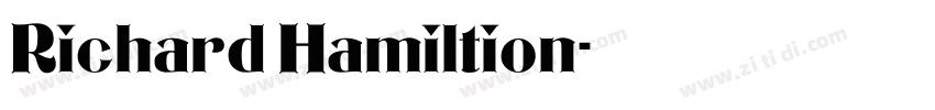 Richard Hamiltion字体转换